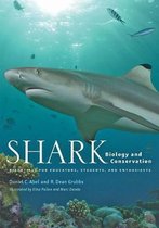 Shark Biology and Conservation – Essentials for Educators, Students, and Enthusiasts