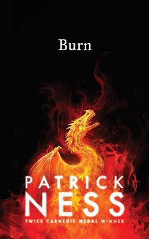ISBN Burn, Pour enfants, Anglais, Couverture rigide, 382 pages