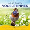 Naturklang: Die schönsten Vogelstimmen-Vogelgezwitscher CD - Album
