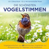 Naturklang: Die schönsten Vogelstimmen-Vogelgezwitscher CD - Album
