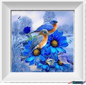 Artstudioclub® Diamond painting volwassenen volledige bedekking  30x30cm Vogels