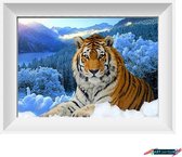 Artstudioclub®Diamond painting volwassenen volledige bedekking 30x40cm Tijger