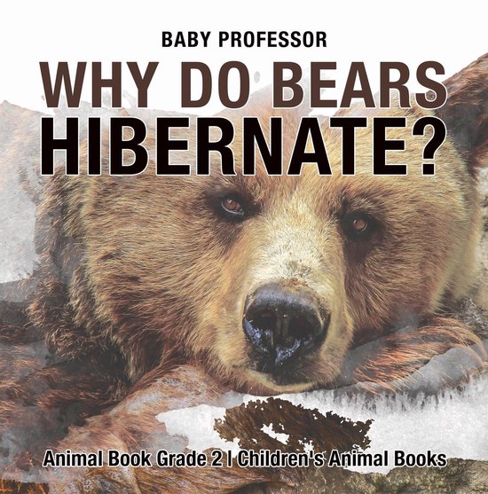 Why Do Bears Hibernate? Animal Book Grade 2 Children's Animal Books