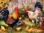Schilderen op nummer Volwassenen - Kippen - Dieren - Kleuren op Nummer - 40x50 cm