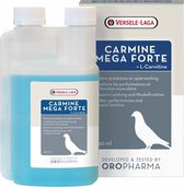 Carmine Mega Forte + L-Carnitine