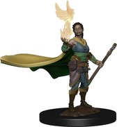 D&D Icons of the Realms Premium Figures: Elf Female Druid (painted)