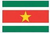 Autovlag Suriname - Luxe