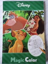 Toverblok Vaiana - Jungle Book disney krasblok