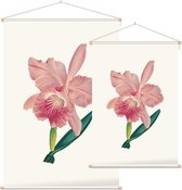 Orchidee Aquarel 3 (Orchid) - Foto op Textielposter - 90 x 135 cm