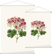 Geranium Aquarel (Pelargonium) - Foto op Textielposter - 120 x 180 cm
