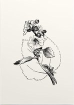 Heemst zwart-wit (Marsh Mallow) - Foto op Posterpapier - 42 x 59.4 cm (A2)