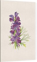 Monnikskap (Wolfbane) - Foto op Canvas - 30 x 45 cm