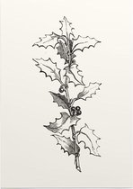 Ilex Hulst zwart-wit (Holly Branch) - Foto op Posterpapier - 50 x 70 cm (B2)