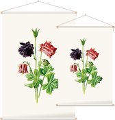 Akele (Columbine White) - Foto op Textielposter - 120 x 180 cm