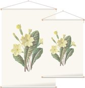 Sleutelbloem (Prim Rose) - Foto op Textielposter - 90 x 135 cm