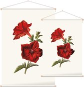 Crimson Petunia (Crimson Petunia White) - Foto op Textielposter - 90 x 135 cm