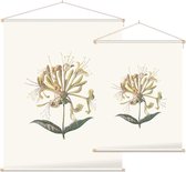 Kamperfoelie (Honeysuckle) - Foto op Textielposter - 45 x 60 cm