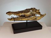 ZOUTWATERKROKODIL | SCHEDEL BEELD | LUXE DECORATIE | SALTWATER CROCODILE SKULL BRONZE