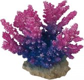 Auqa Della Coraal acropora Paars 15x7x13CM