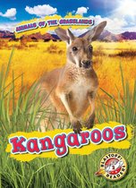 Animals of the Grasslands - Kangaroos