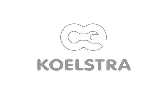 Koelstra Travelsleeper T5 Campingbedje - Zwart | bol.com