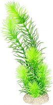 Auqa Della Plant hornwort Donkergroen M - height 24cm, PER STUK !! GEEN KEUZE MOGELIJK !