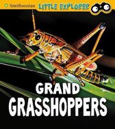 Insect Explorer Grand Grasshoppers