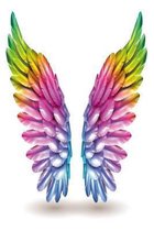 Colorful wings