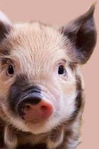 Precious Pig Journal: 150 Page Lined Notebook/Diary