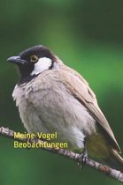 Meine Vogel Beobachtungen: Ornithologie auf 120 Seiten leicht gemacht