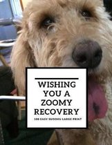 Wishing You A Zoomy Recovery: 100 Easy Puzzles In Large Print Get Well Soon Theme