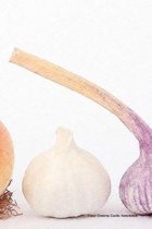 Food Onions Garlic Notebook: 6 x 9 in; 15.2 x 22.9 cm