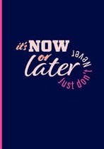 Now or Later Just Don't Never: 90 Day Chronic Pain Tracker/Diary