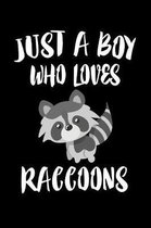 Just A Boy Who Loves Raccoons