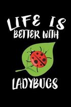 Life Is Better With Ladybugs