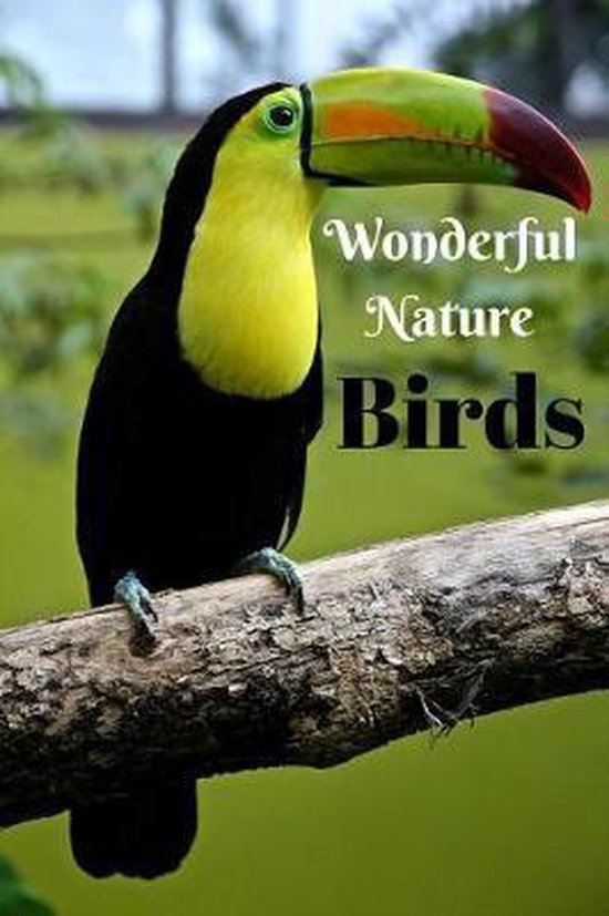 Wonderful Nature Birds - cover