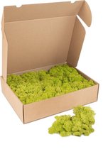 Kleine doos rendiermos - kleur mos: Spring Green (voor o.a. decoratie, mosschilderij of moswand).