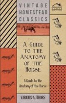 A Guide to the Anatomy of the Horse - A Collection of Historical Articles on the Skeleton, Hoof, Teeth, Locomotion and Other Aspects of Equine Anatomy