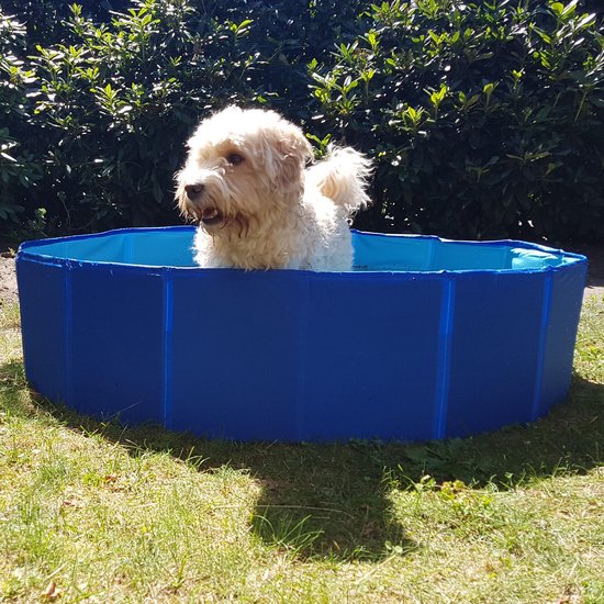 Pet De Huisdiersuper Hondenzwembad