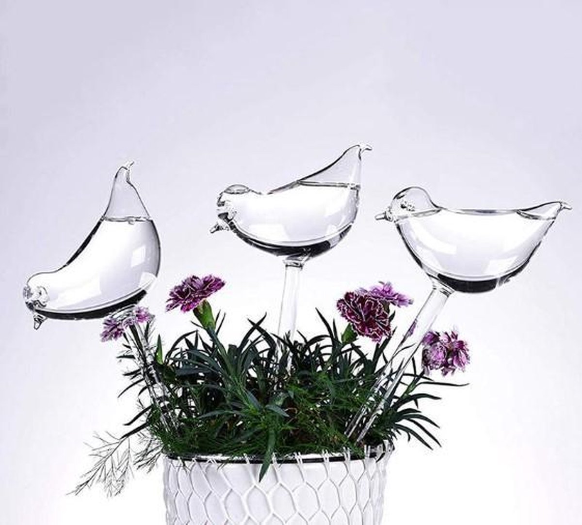 Waterdruppelaar Planten - vorm Vogel - Set van 3 Kunststof Druppelaars -  25cm Lengte -... | bol.com