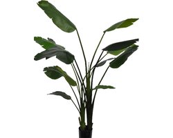 Silk-ka Kunstplant Strelitzia Zijde Groen 183 cm
