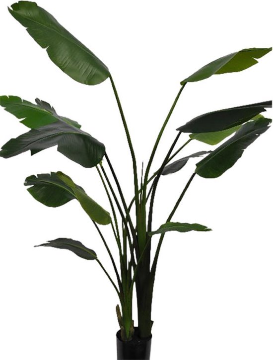 Silk-ka Kunstplant Strelitzia Zijde Groen 183 cm