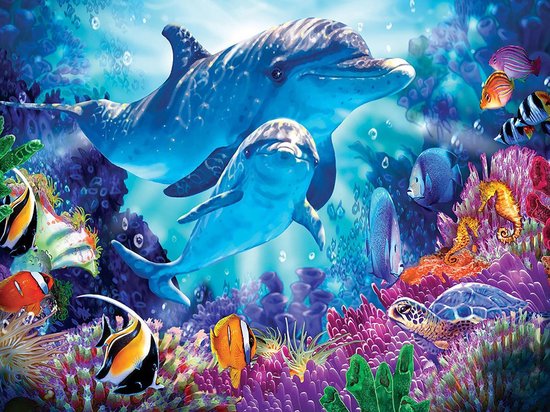 Rubye® Diamond Painting Volwassenen - Diamond Painting Kinderen - Kleurrijke Dolfijnen - 30x40cm