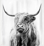 Douchegordijn Schotse Hooglander 150x180 cm| Gordijn | Bad | Douchegordijn