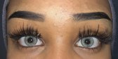 Blauwe kleurlenzen - blauw / groen/ grijs -  Lenses by Zam - jaarlenzen met lenshouder