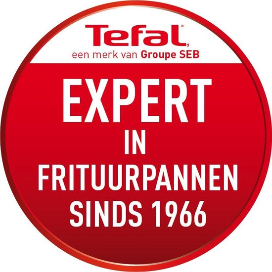 Tefal Easy Pro FR3330 - Frituurpan - 3 L - Koude Zone - Kijkvenster - Makkelijk Schoonmaken - 2200W - RVS Design