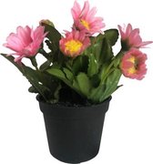 Kunstplant - In Pot - Margrietje - Roze - In cadeauverpakking met gekleurd lint