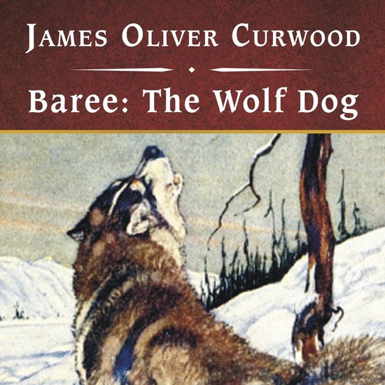 Baree: The Wolf Dog, with eBook - cover