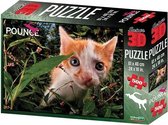 National Geographic 3D puzzel Pounce cat 500 stukjes