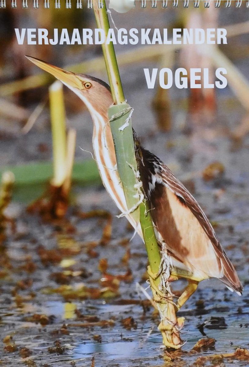 Verjaardagskalender Vogels | Kalender verjaardagskalender | 12 foto's van unieke maar in Nederland voorkomende vogels